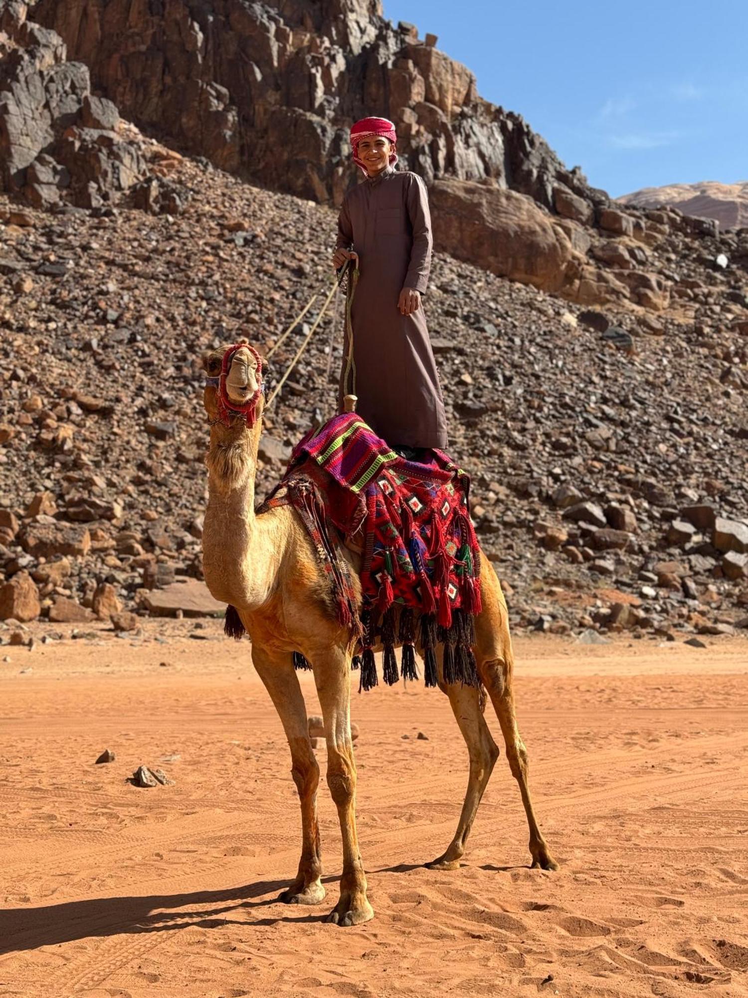 Desert Bird Camp Wadi Rum Eksteriør billede