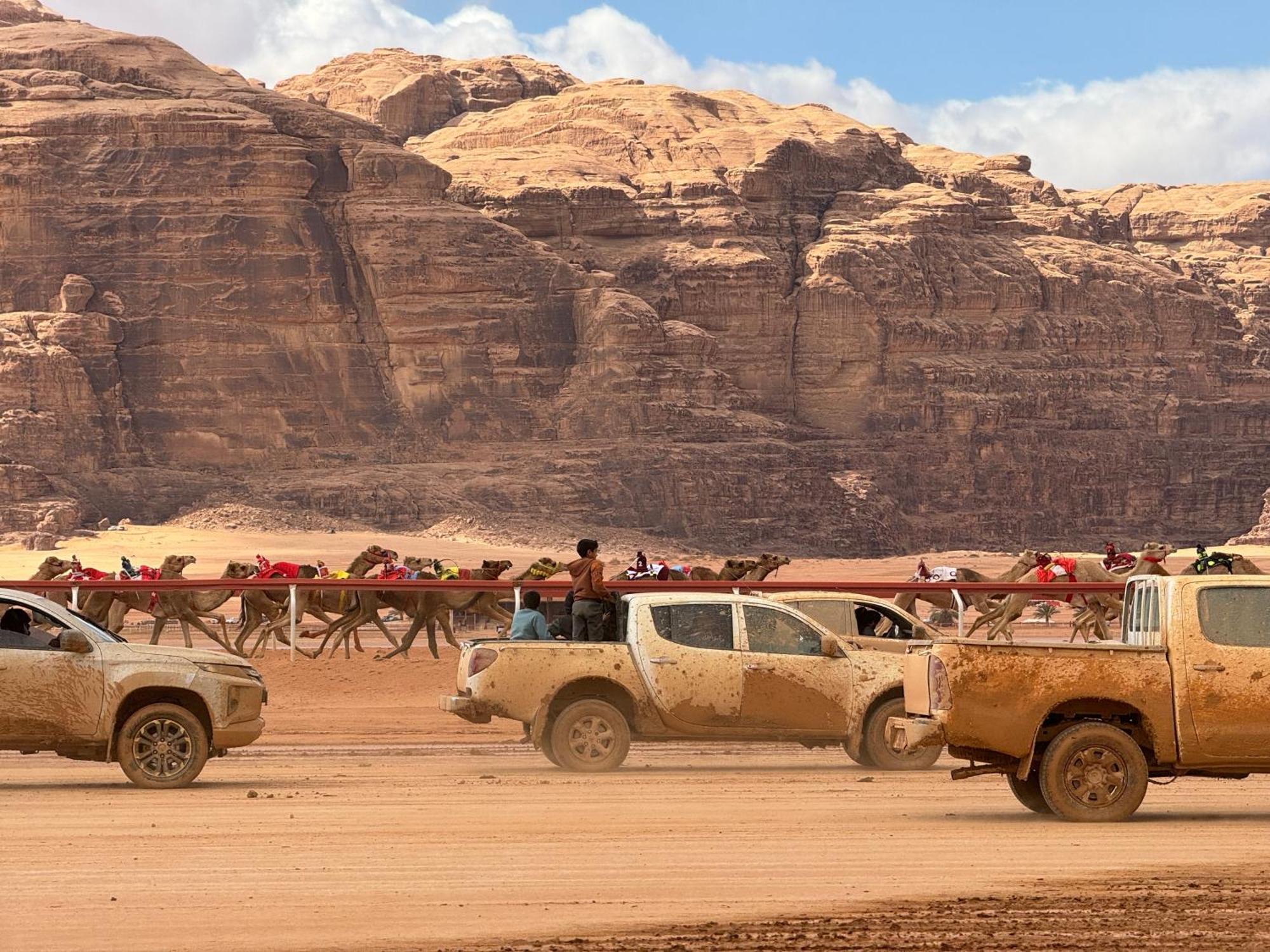 Desert Bird Camp Wadi Rum Eksteriør billede