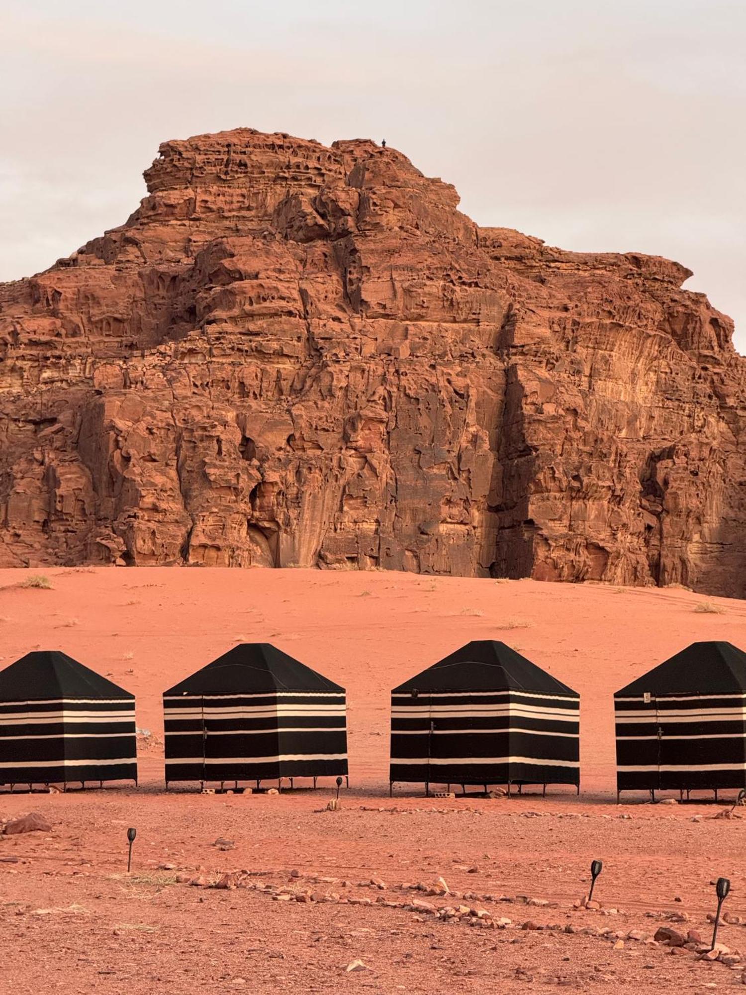 Desert Bird Camp Wadi Rum Eksteriør billede
