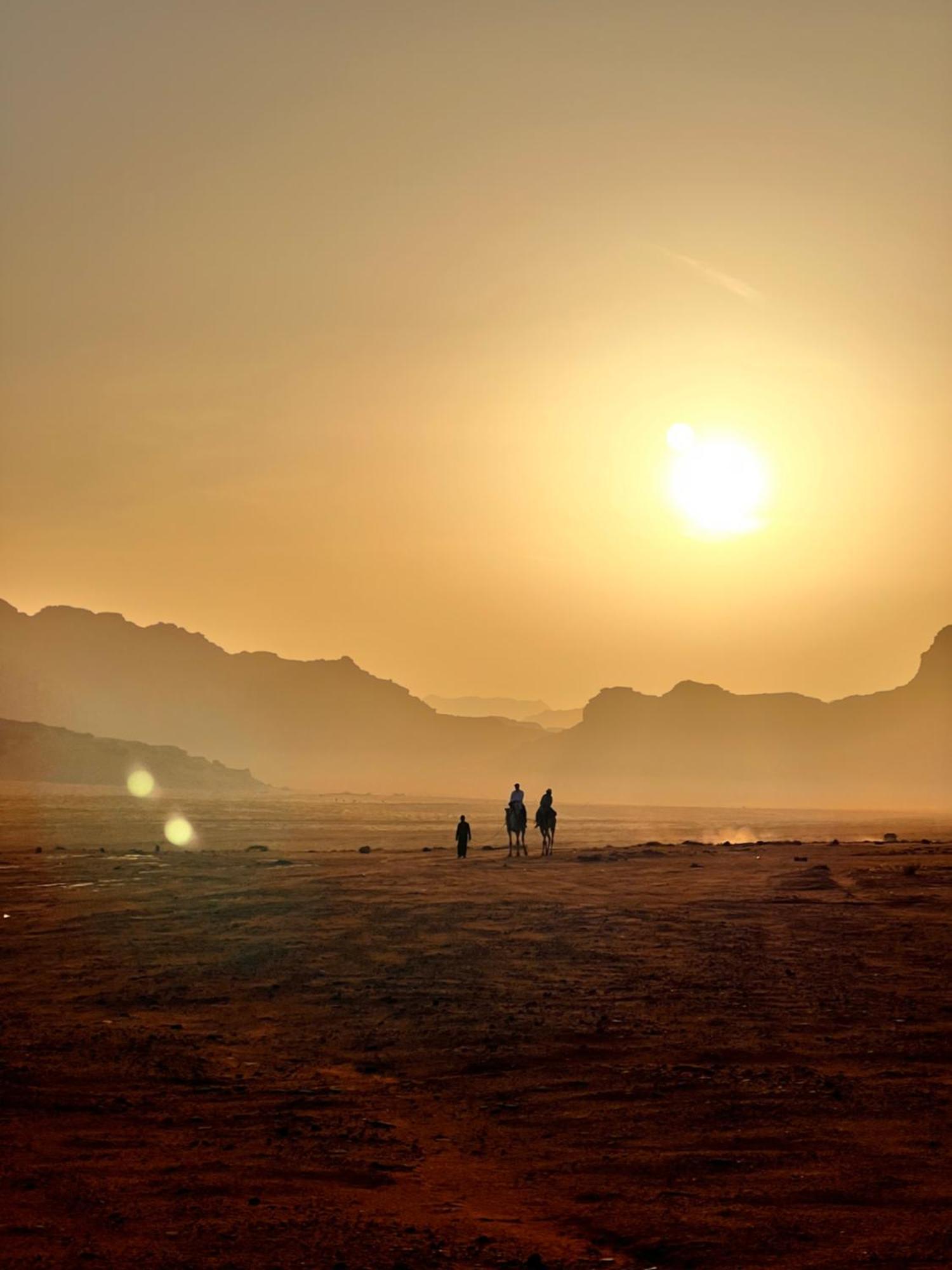 Desert Bird Camp Wadi Rum Eksteriør billede