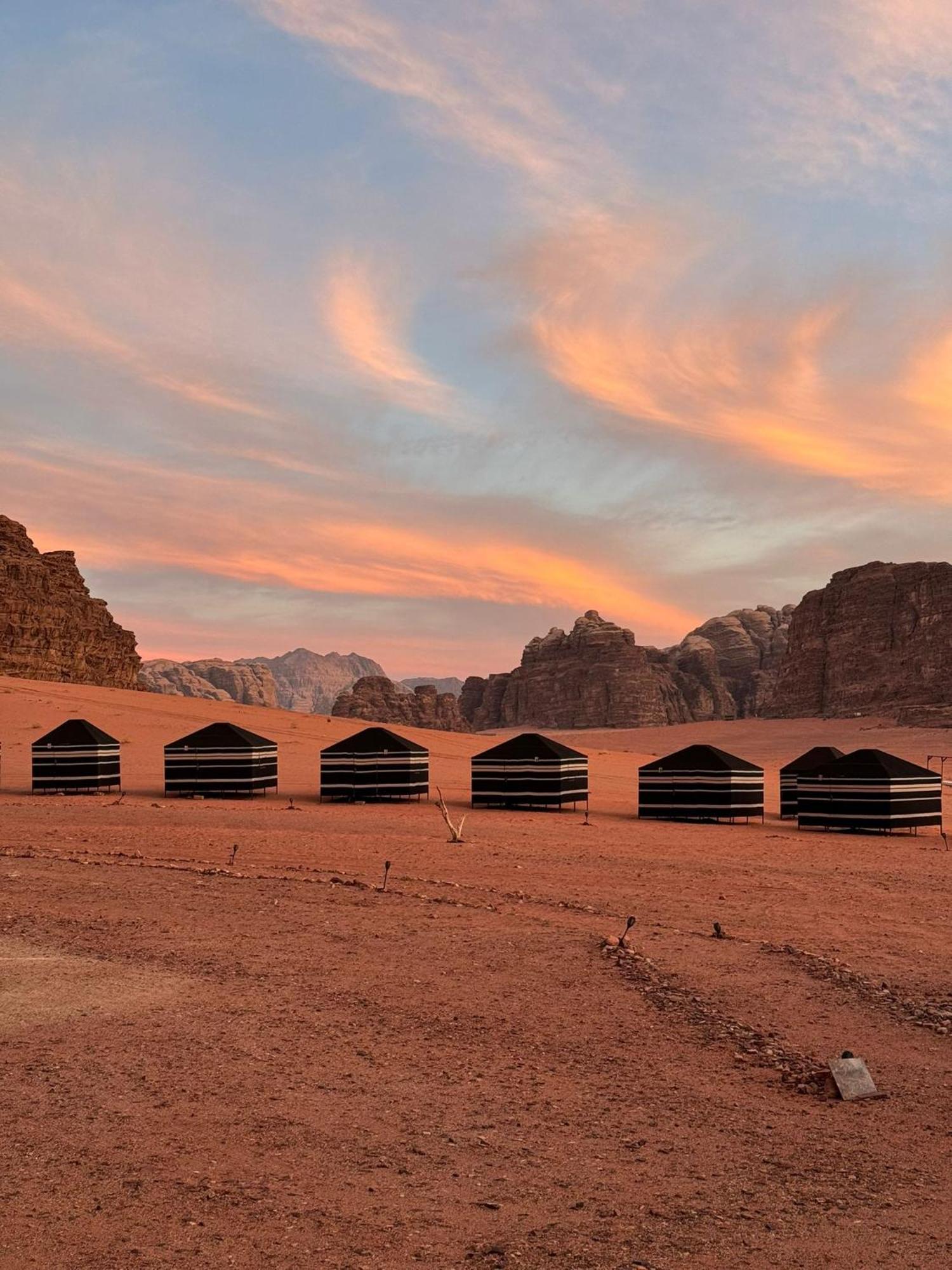 Desert Bird Camp Wadi Rum Eksteriør billede