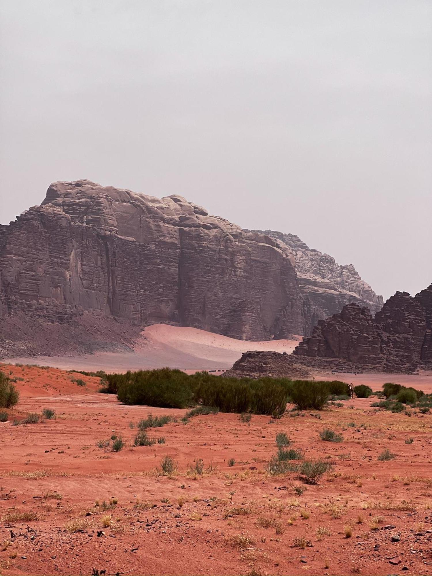 Desert Bird Camp Wadi Rum Eksteriør billede
